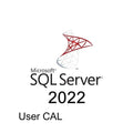 SQL Server 2022 User CAL