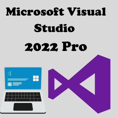 Microsoft Visual Studio 2022 Professional - Vollversion