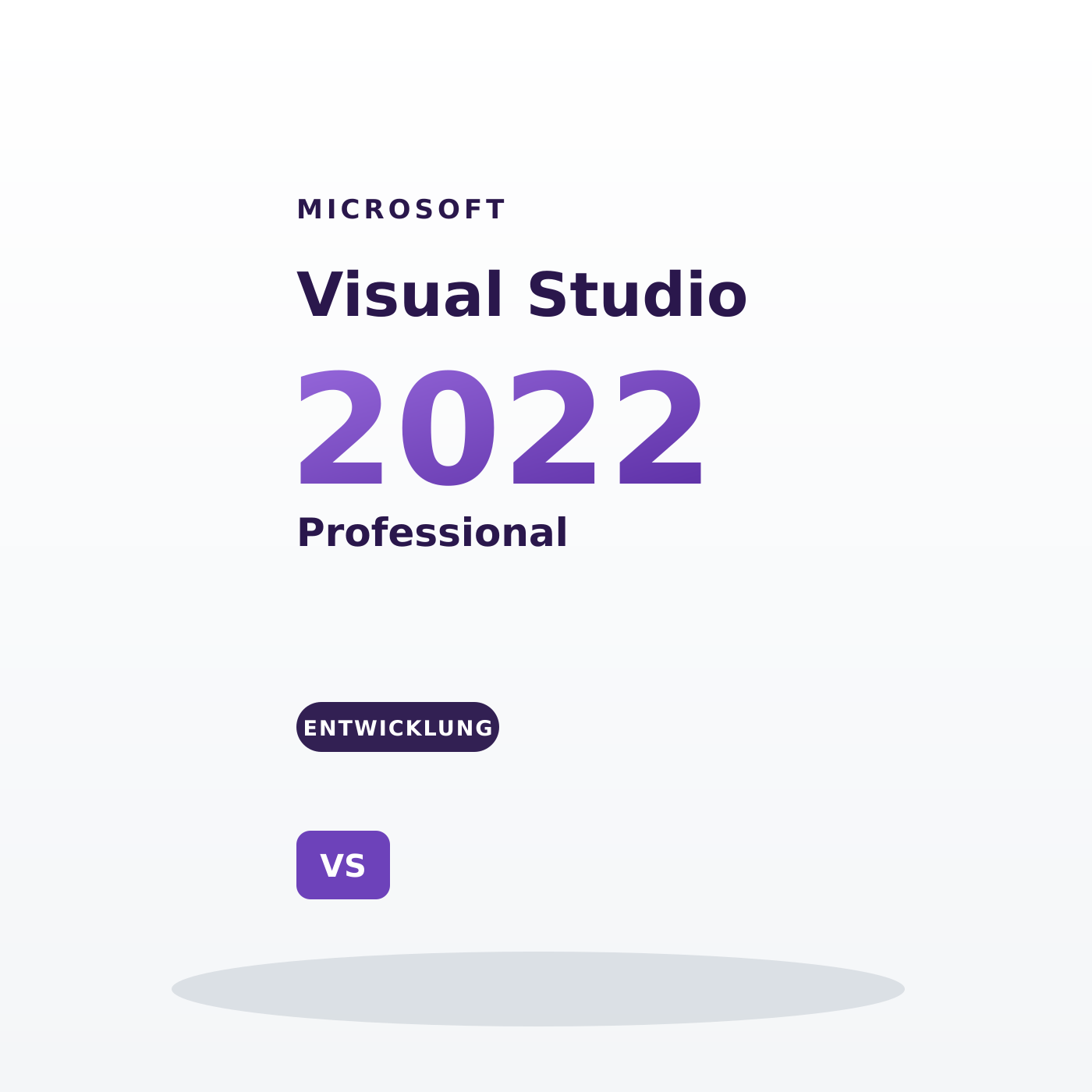 Microsoft Visual Studio 2022 Professional