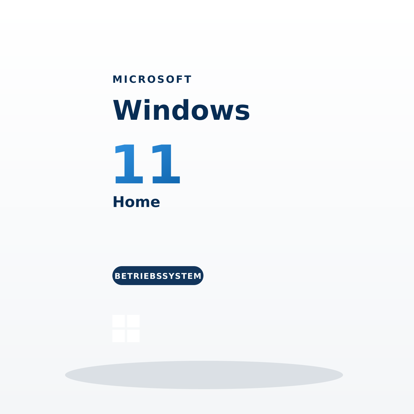 Microsoft Windows 11 Home