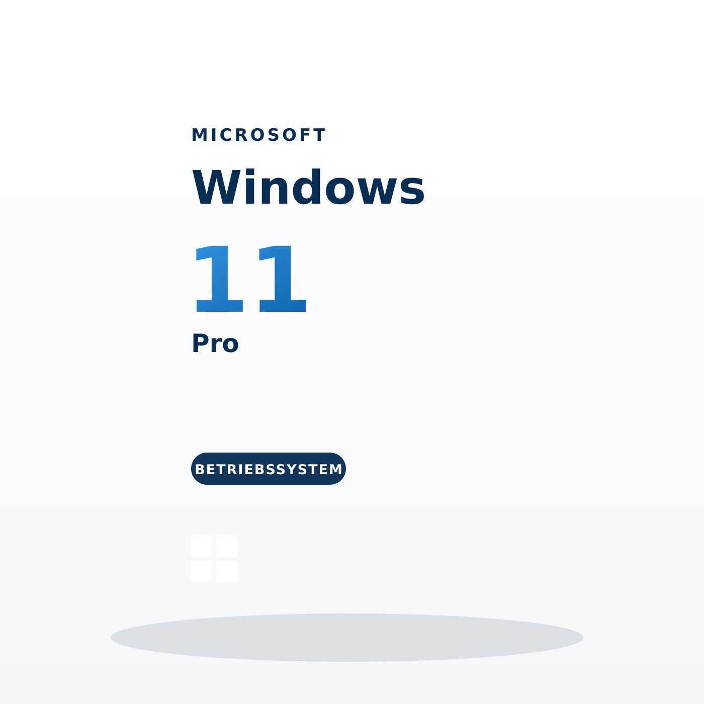 Microsoft Windows 11 Pro