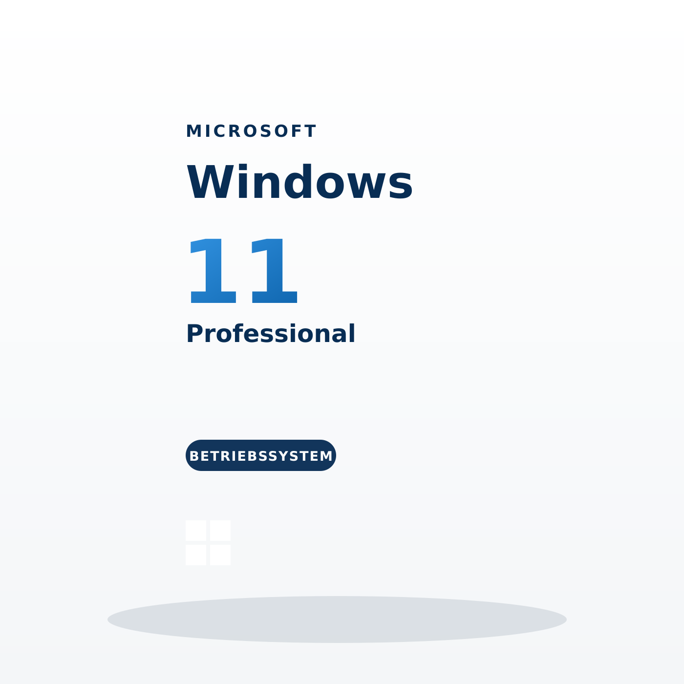 Microsoft Windows 11 Professional