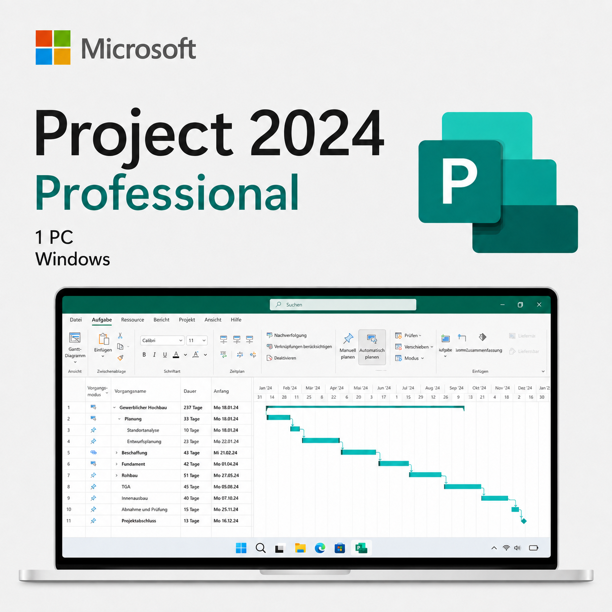 Microsoft Project 2024 Professional