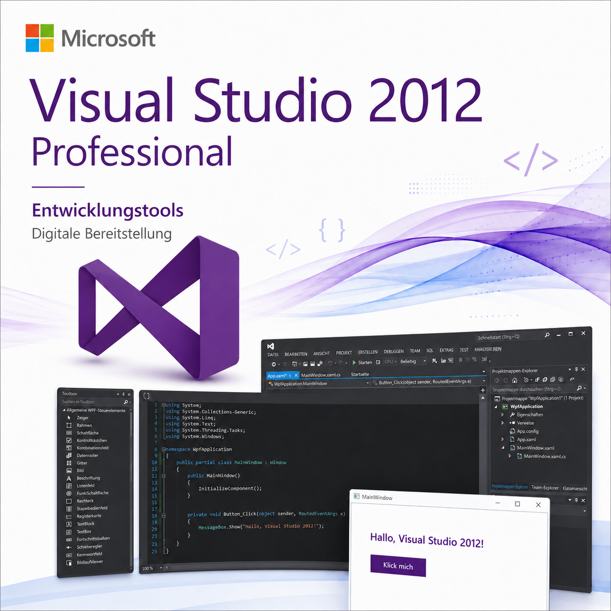 Microsoft Visual Studio 2012 Professional