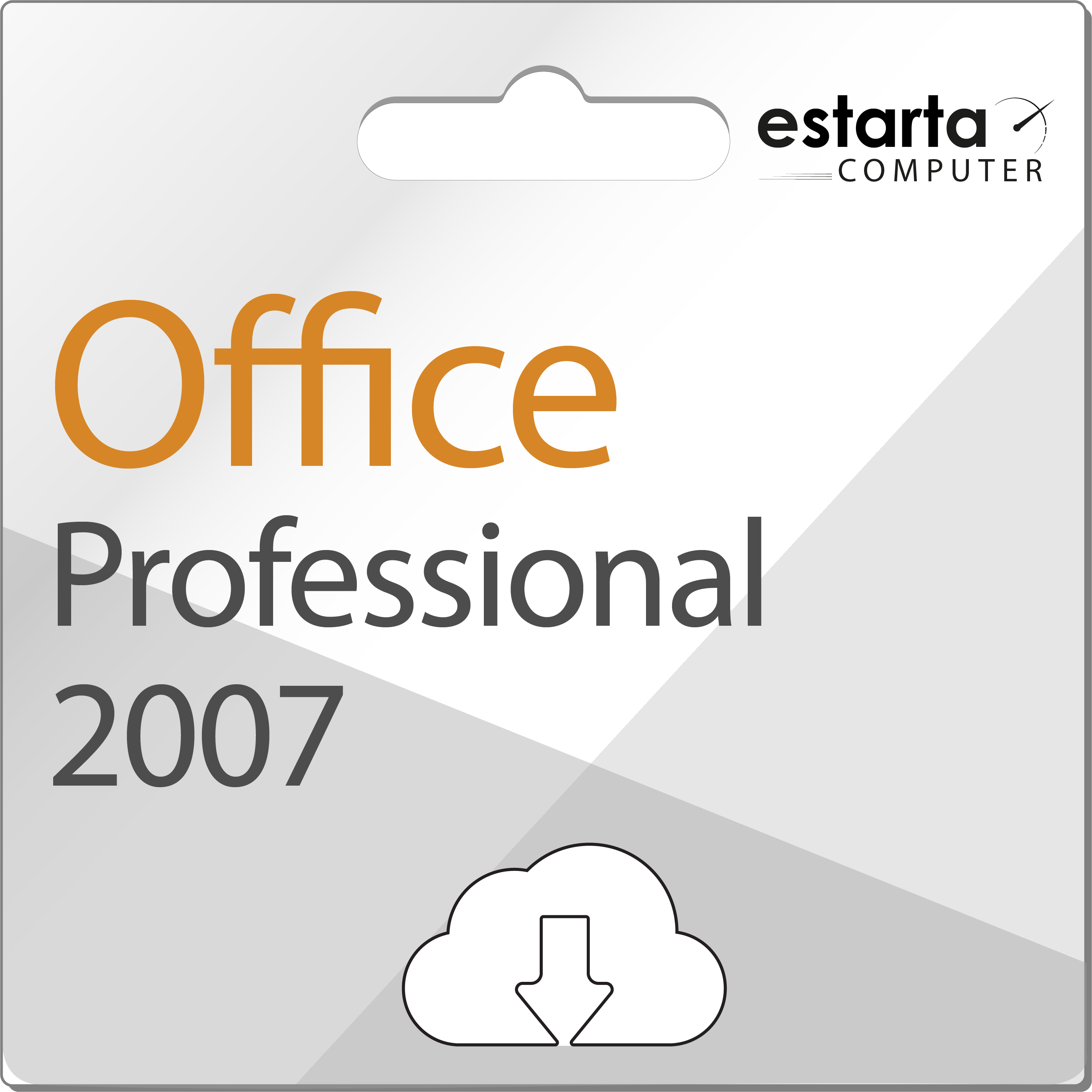 Microsoft Office 2007 Professional