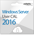 Microsoft Windows Server CAL 2016 | 5 User CALs