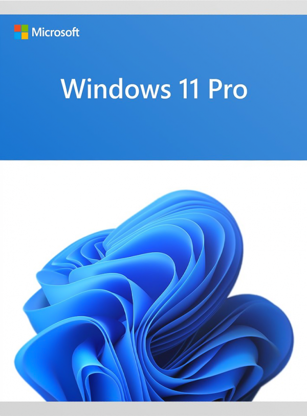 Microsoft Windows 11 Pro - Download