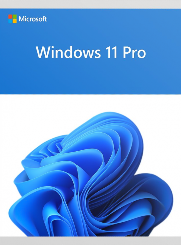 Microsoft Windows 11 Professional